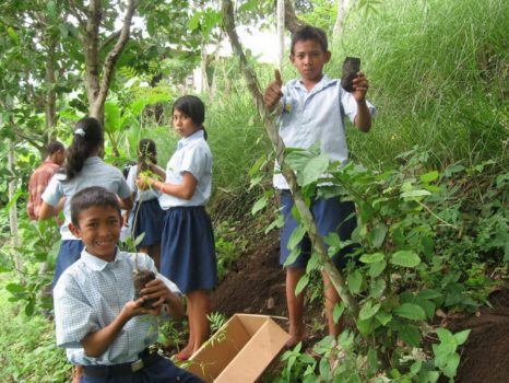 EBPP school children planting soap not trees in their school garden