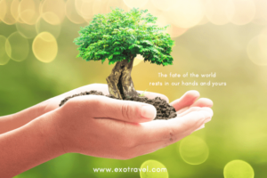 Climate action plan picture 2